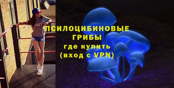 СК Гусь-Хрустальный