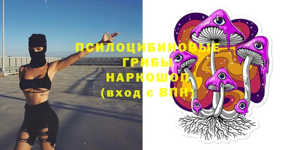 PSILOCYBIN Гусев