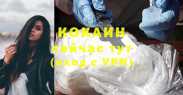 СК Гусь-Хрустальный