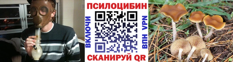 МЕГА ССЫЛКА  купить закладку  Грязовец  Галлюциногенные грибы Psilocybine cubensis 